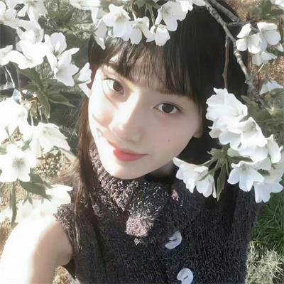 网美嬉游记
